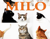 Rescued Pets - Milo Foundation