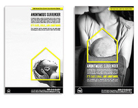 Angela Ambrosini Design Campaigns