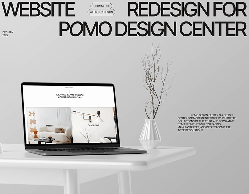 Web Design (Multi-page website, e-commerce)