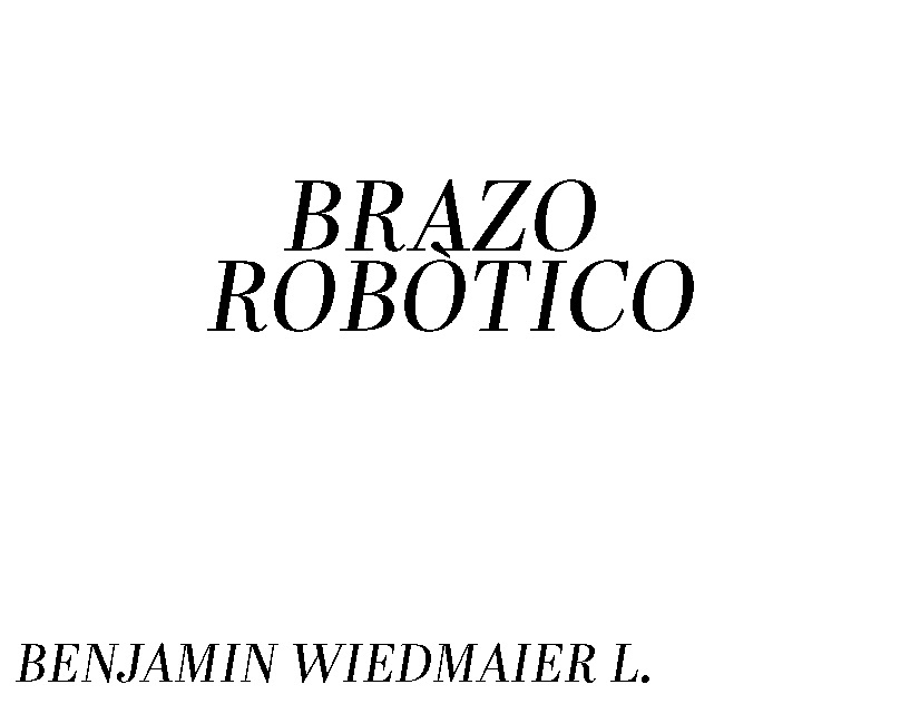 BRAZO ROBOT