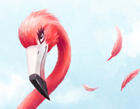 Flamingo illustrations