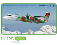 International contest Malev airlines