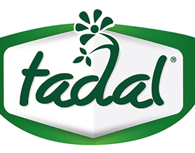 Tadal Spice Logo type.