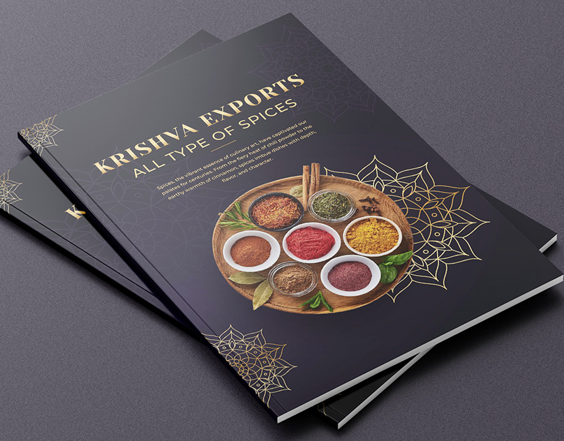 Professional Brochure Design Services for Your Business