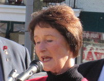 Sharon Bulova, Fairfax County Board of Supervisors
