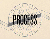 DAMS Process Model
