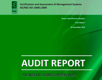 Audit Report for an Australian environmental company