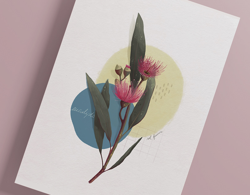 Botanical Art / Illustration