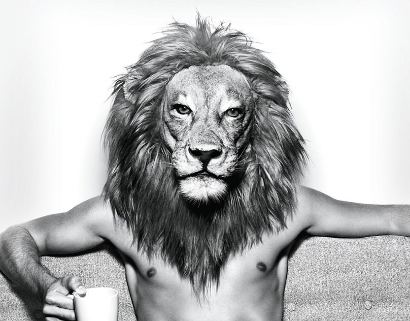 Мужчина лев после 50. Мужчина Лев. Шевелюра Льва. Парень Лев. Фотосессия парень со львом.