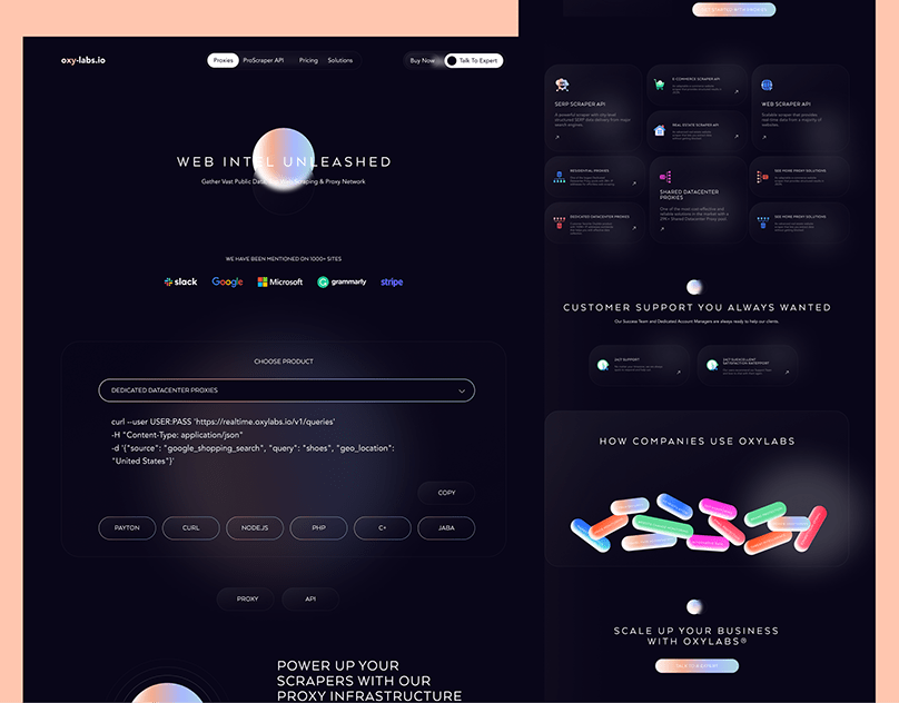 Website Design - UI/UX Design