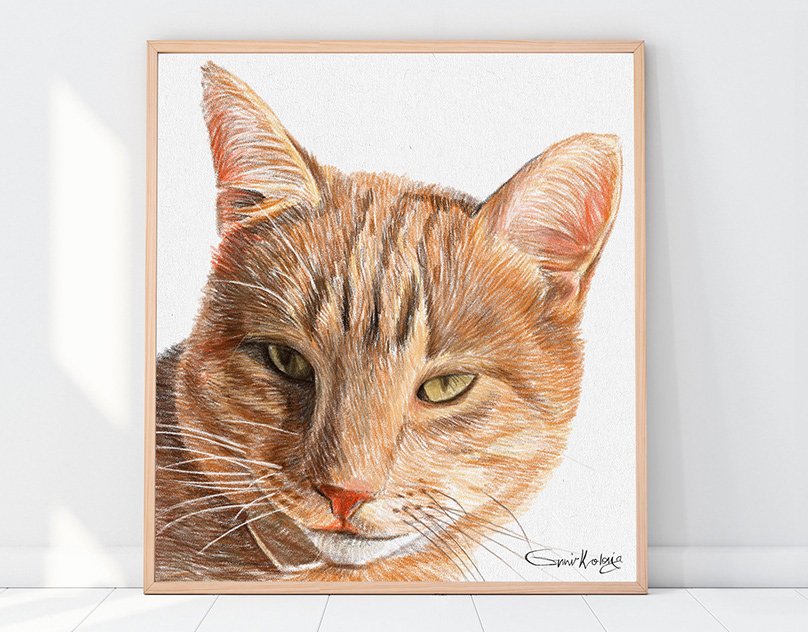 Custom Pet portrait  | Custom dog portrait | Custom cat portrait
