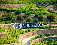Quinta do Seixo  - Feeling the Wine