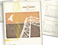 Cost & Effect Brochure