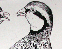 Partridges Copperplate