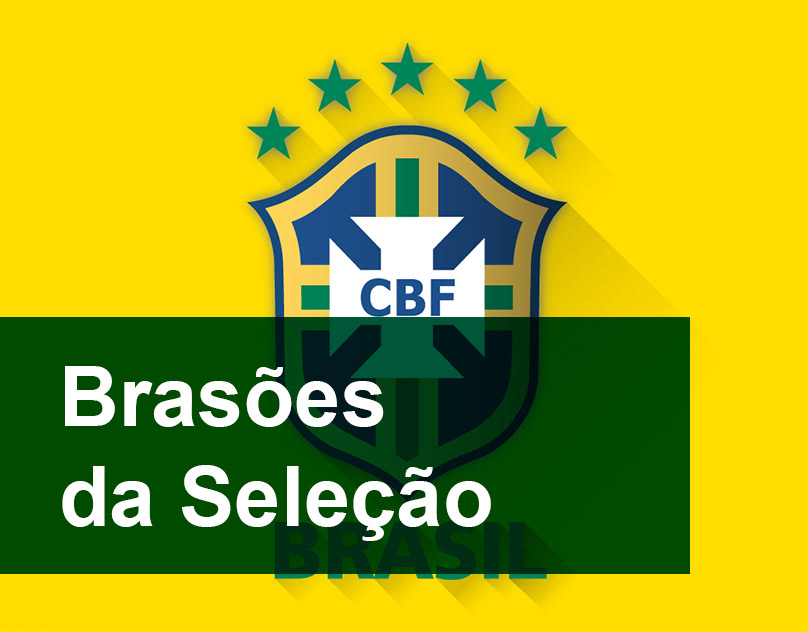 Branding Seleção / Branding the Brazilian Team on Behance