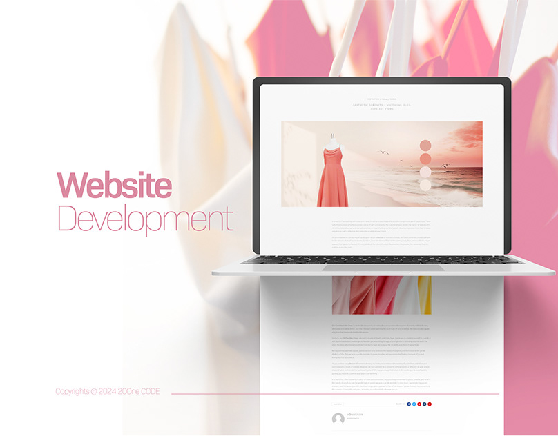 Website & Solutions Development