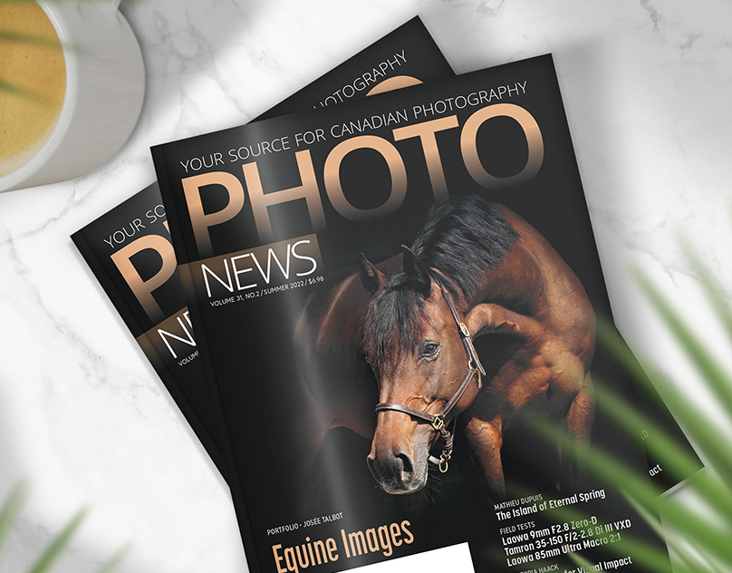 Layout Designs for Magazines and Catalogs