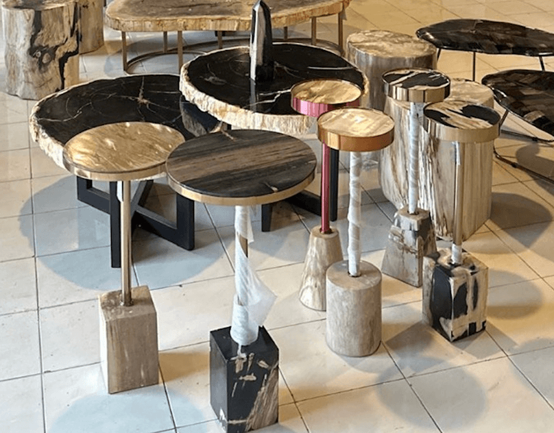Best Petrified Wood Products