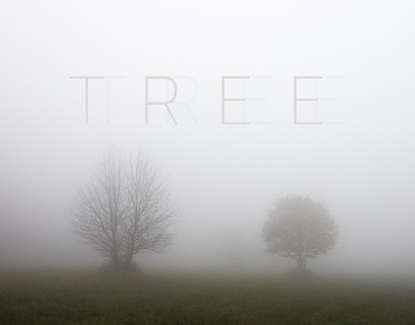 THE TREES