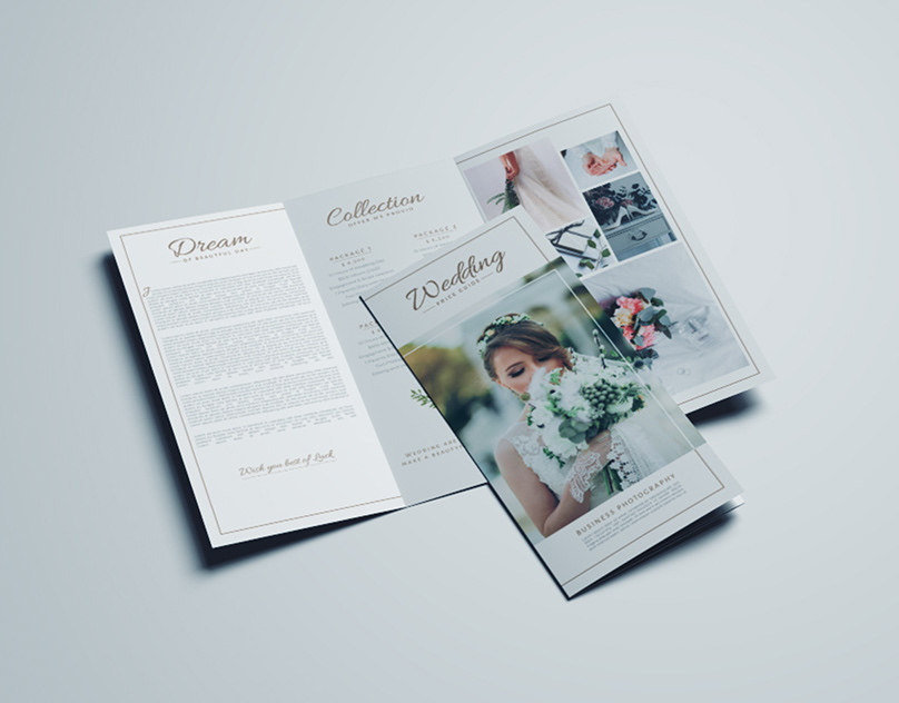 Professional Tri fold Brochure Designs