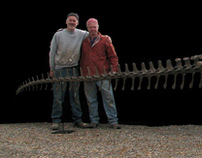 Deinosuchus , 30 foot Crocodilian Skeleton