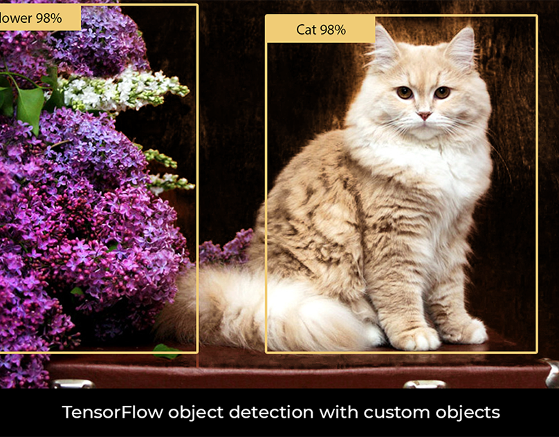 Object detected. Object Detection. Object Detection котенок. Flowers object Detection.