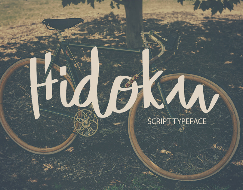 Hidoku Script Typeface