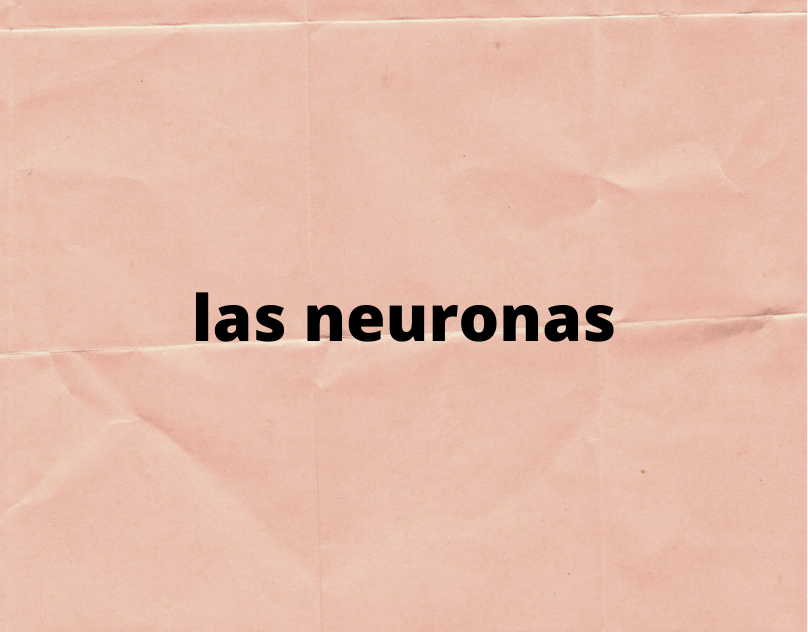 LAS NEURONAS (COPIAR)