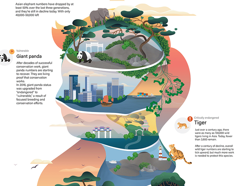 Infographic illustration and animation