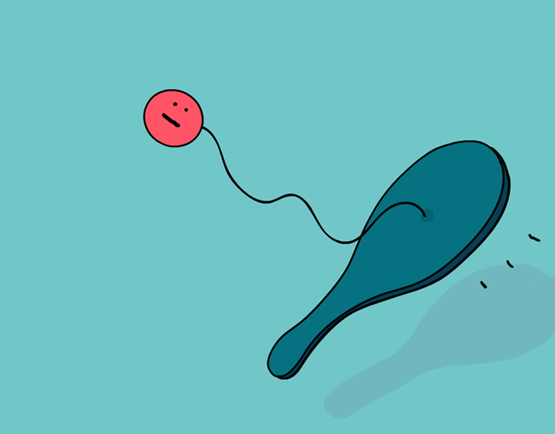 Squash & Stretch Animation: Paddle ball on Behance