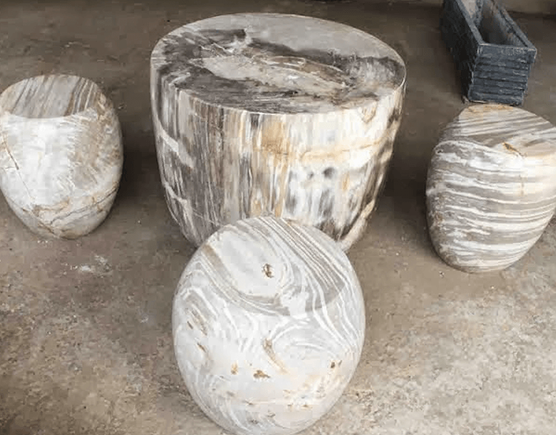 Best Petrified Wood Products