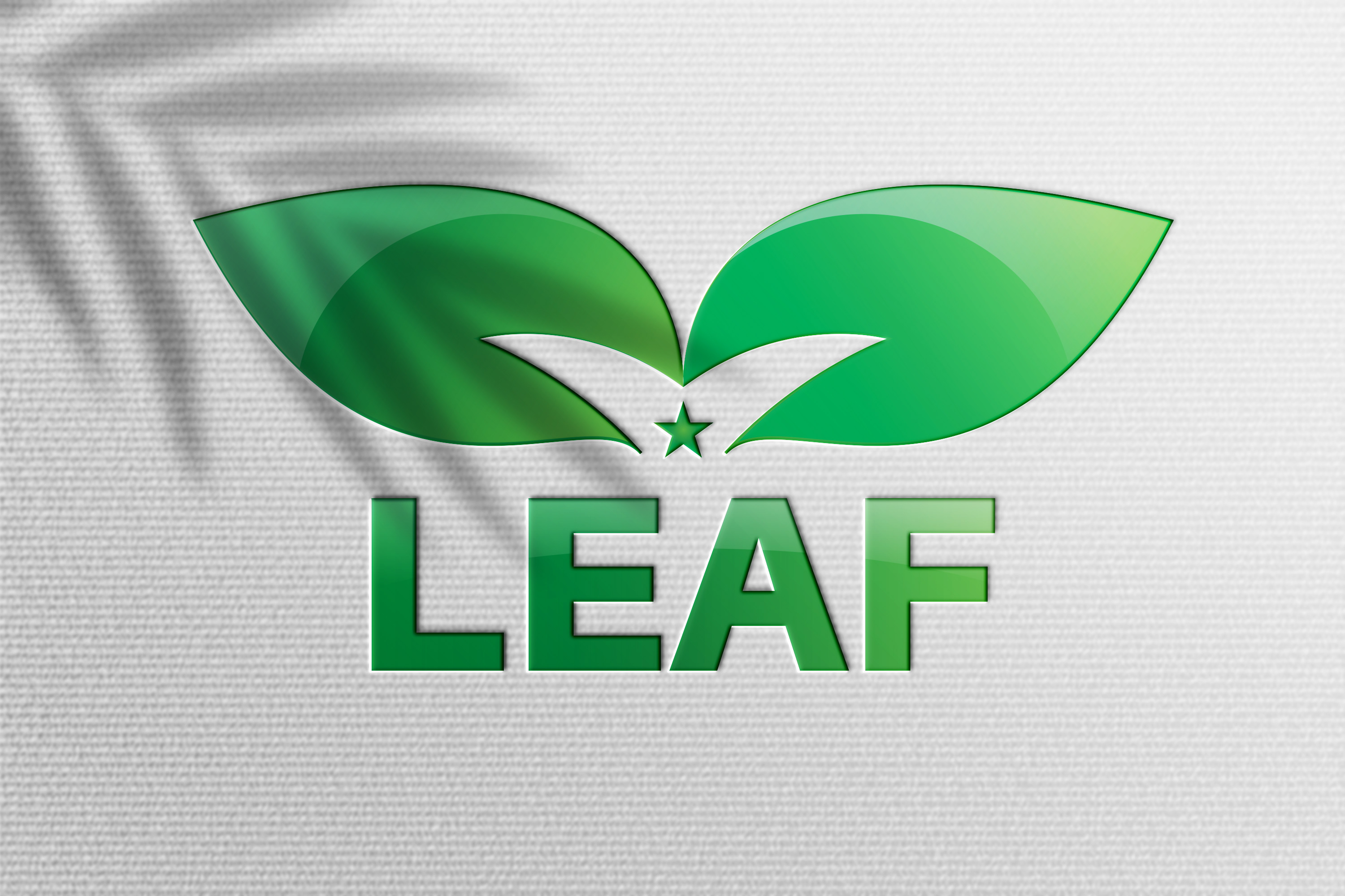 Leaf Logo design rendition image