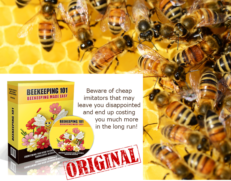 Discover Beekeeping - Guide for Beginner Beekeepers rendition image
