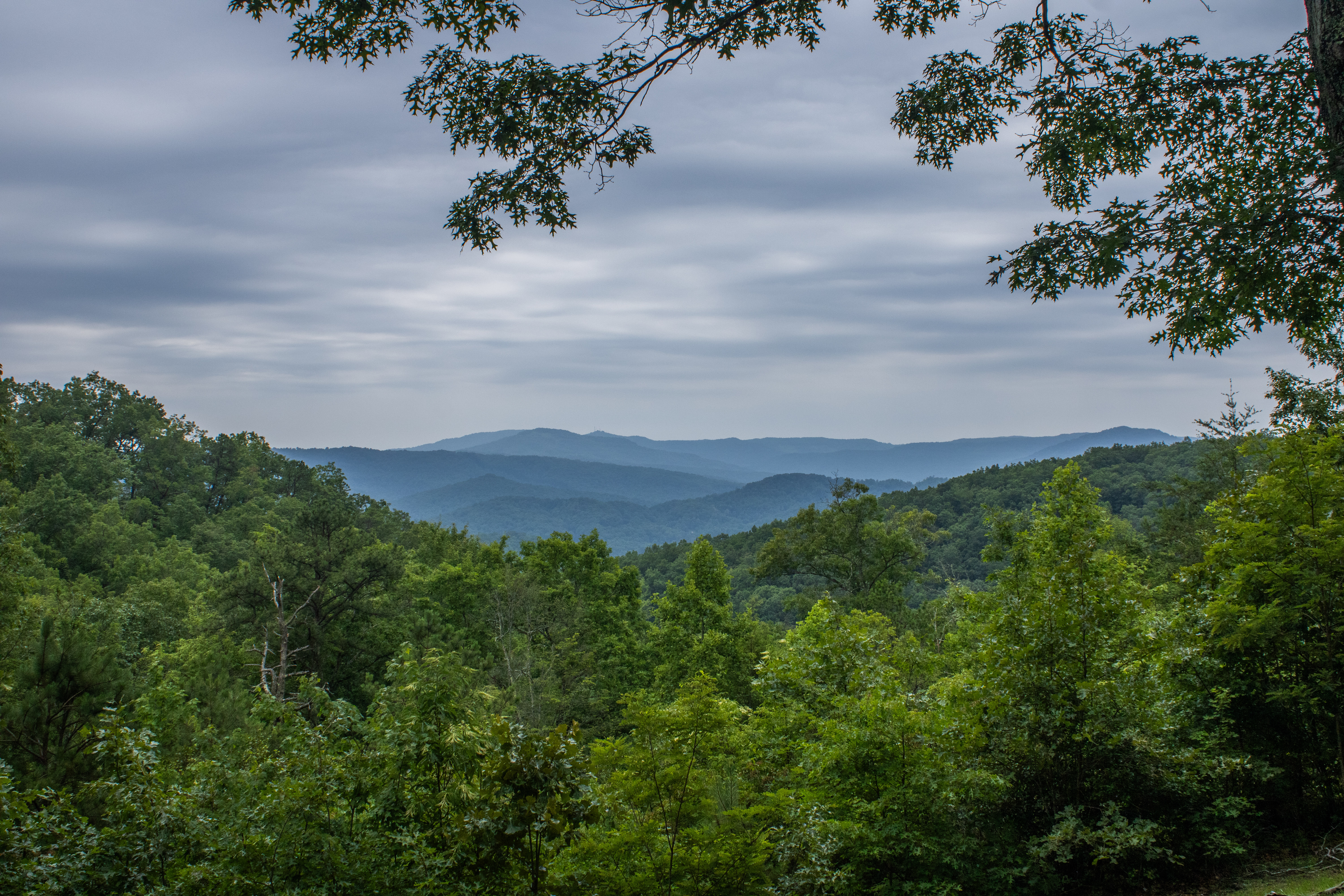 Appalachian Mountains Kentucky rendition image