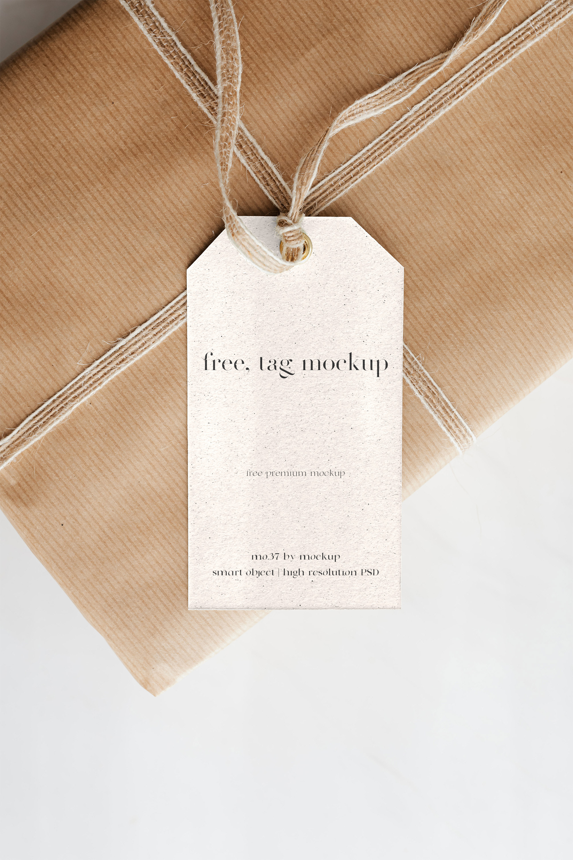 mo-37-free-package-label-mockup rendition image