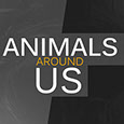 Animals Around us's profile