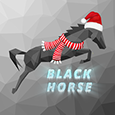 Black Horse Web Studio's profile