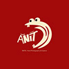 Anits Studio sin profil