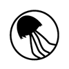 medusa groups profil
