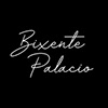 Bixente Palacio sin profil
