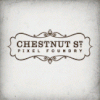 Chestnut St. Pixel Foundry Design profili