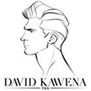 Profil David Kawena
