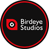 Birdeye Studios's profile