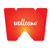 Wallcano Design 的個人檔案