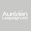 Profil von Aurélien Lespagnard