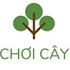 Profiel van Chơi Cây