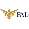 falcons grups profil