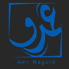 Profil Amr Naguib