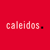 Caleidos Teenagency's profile