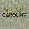 Carolina Freitass profil